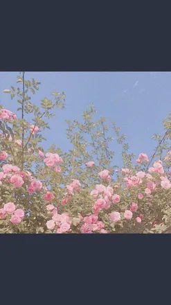 OnlyFans cuenta xoxalyssea header 2