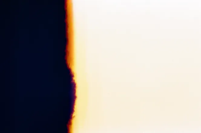 OnlyFans cuenta chloeyourpet_onlyfans header 2