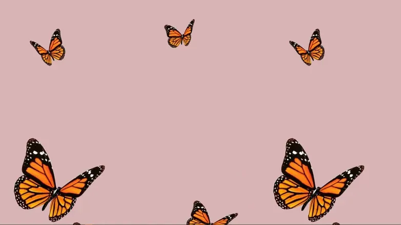 OnlyFans cuenta brownbeauty_xo header 2