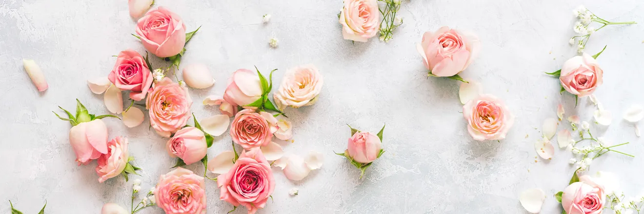 OnlyFans cuenta myhoneyrose header 2