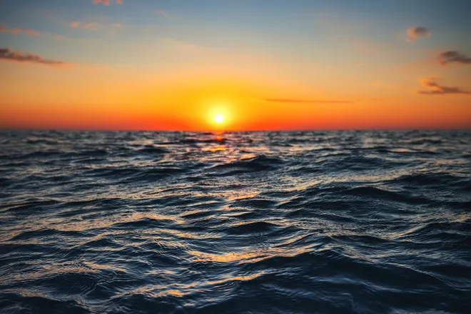 OnlyFans cuenta thedarkoceanside header 2