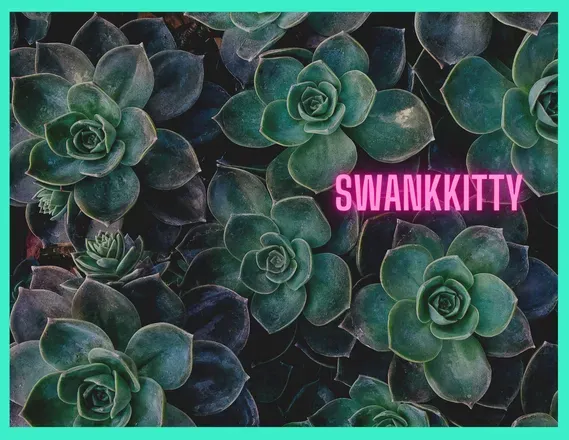 OnlyFans cuenta swankkittie header 2