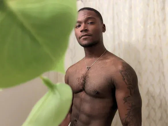 OnlyFans account  thegrayson avatar 1