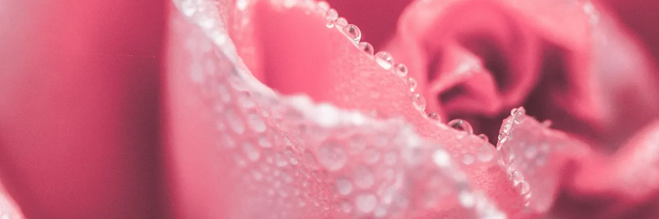 OnlyFans cuenta tistia header 2