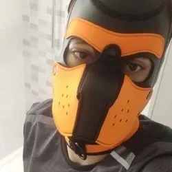 OnlyFans cuenta pupconnoravirus avatar 1