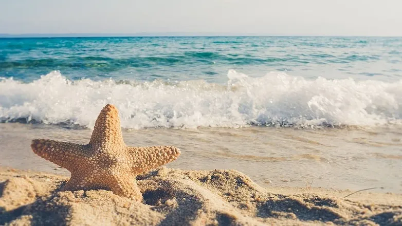 OnlyFans cuenta ari_sea header 2