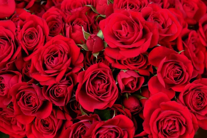 OnlyFans cuenta ale24251 header 2