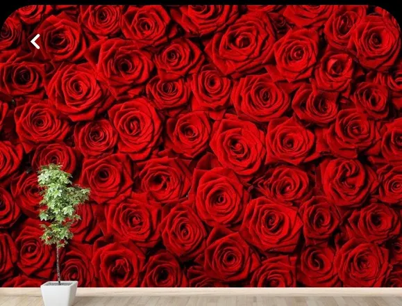 OnlyFans cuenta khaybabyyy header 2