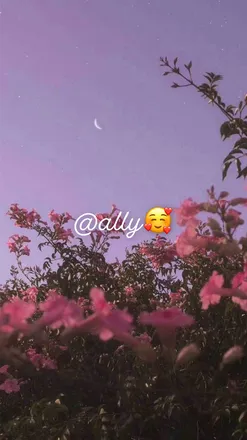 OnlyFans cuenta ally_scott header 2