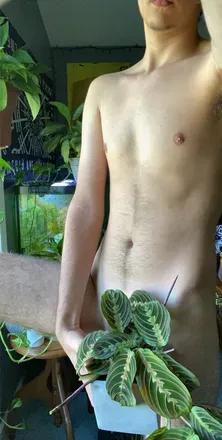 OnlyFans cuenta ilemon101 avatar 1