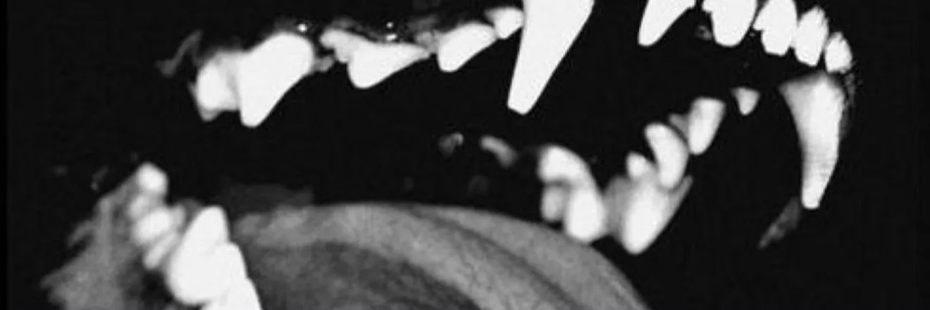 OnlyFans cuenta urfavversssxx header 2