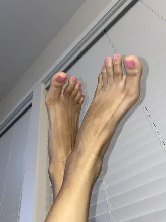 OnlyFans cuenta palomadove avatar 1