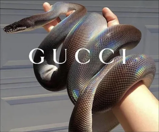 OnlyFans cuenta dubss header 2
