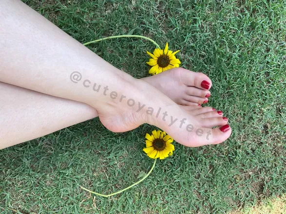 OnlyFans cuenta cuteroyaltyfeet avatar 1