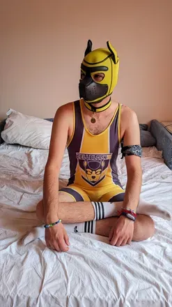 OnlyFans cuenta pupgoji avatar 1