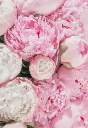 OnlyFans cuenta wholelottafaye header 2