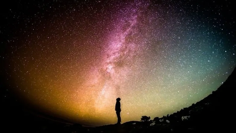 OnlyFans cuenta nocturnladies header 2