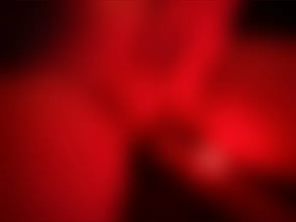 OnlyFans account  vampirebittenpup header 2