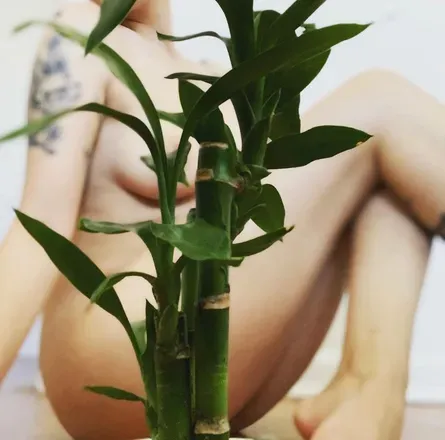 OnlyFans cuenta daffy_xo avatar 1