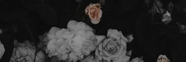 OnlyFans account  amilyynnc header 2