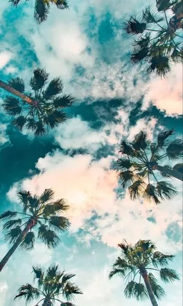 OnlyFans cuenta chloeecooperr header 2