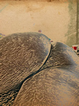 OnlyFans cuenta u137872978 header 2