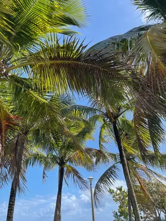 OnlyFans cuenta thecubanbarbieee header 2