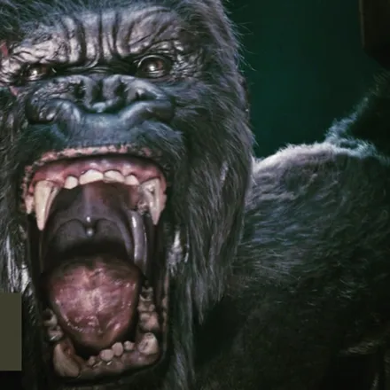 OnlyFans cuenta silverbackkong header 2