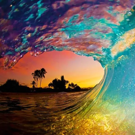 OnlyFans cuenta thesurfdude header 2
