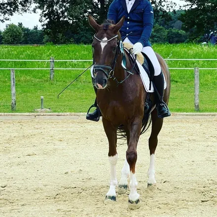 OnlyFans cuenta equestrian_twinkle avatar 1