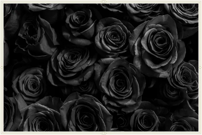 OnlyFans cuenta lilithblairx header 2