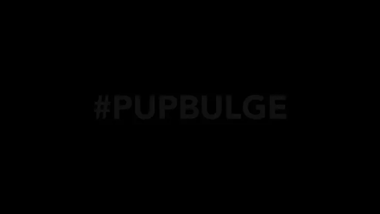 OnlyFans cuenta pupbulge header 2