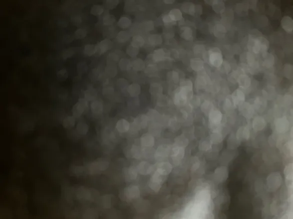 OnlyFans cuenta dalmatianking header 2