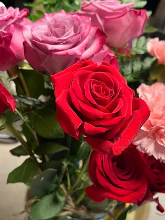 OnlyFans cuenta brazili-mamii header 2