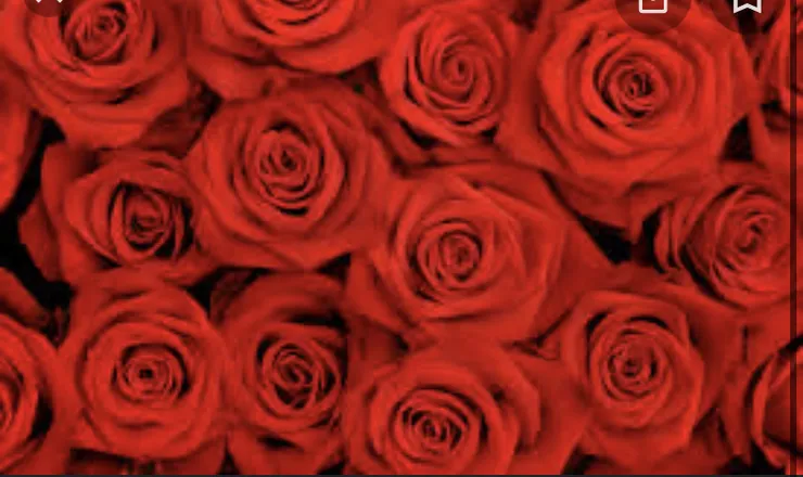 OnlyFans cuenta queenofice666 header 2