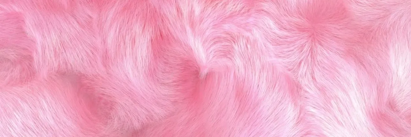 OnlyFans cuenta only_bunnies header 2