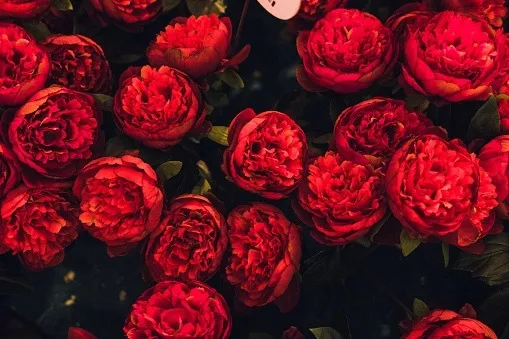 OnlyFans cuenta mskatiereed header 2