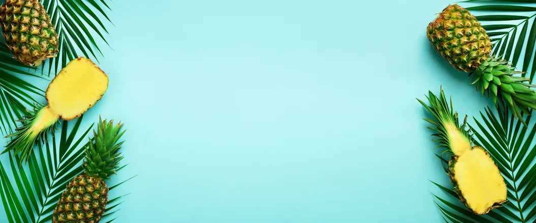 OnlyFans cuenta mdexclusive header 2