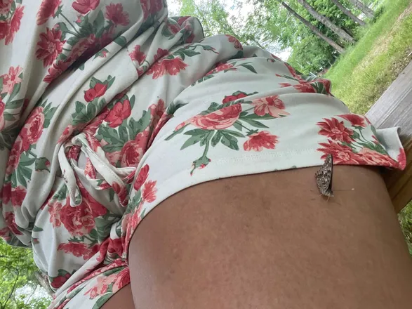 OnlyFans cuenta blueeyedbeauty0189 header 2