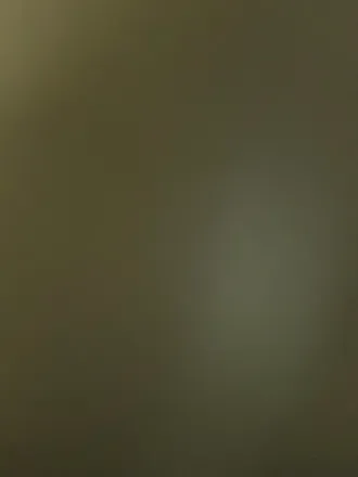 OnlyFans account  arianahagostina header 2
