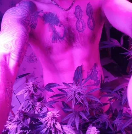 OnlyFans cuenta onhold69 avatar 1