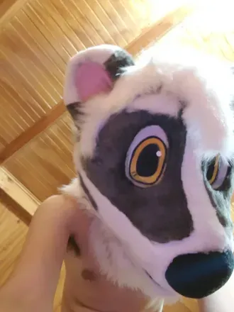 OnlyFans cuenta kaima_badger avatar 1