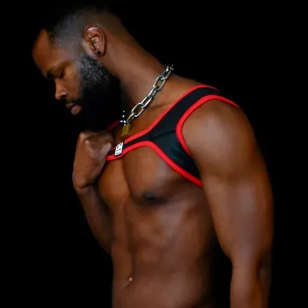 OnlyFans cuenta charlestonrex avatar 1