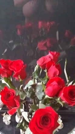 OnlyFans cuenta u208049928 header 2