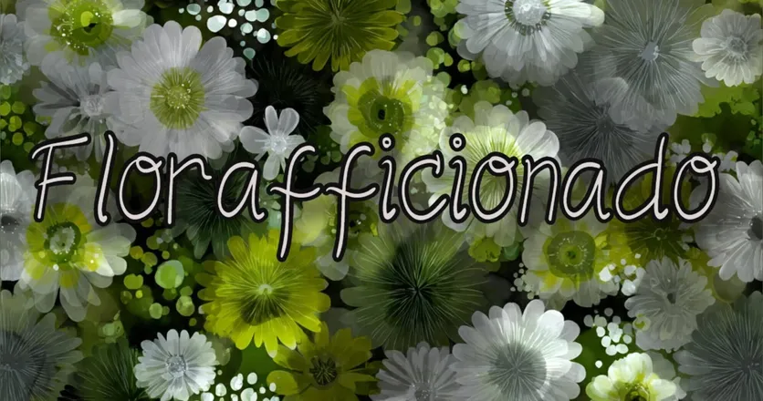 OnlyFans cuenta florafficionado header 2