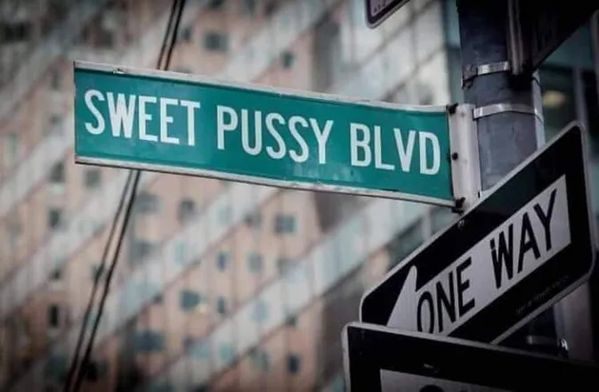 OnlyFans cuenta msnewpussy69 header 2