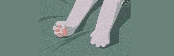 OnlyFans cuenta lilleofeet header 2