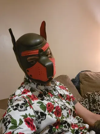 OnlyFans account  alpha_pup_zero avatar 1