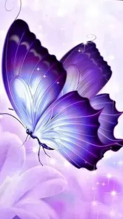 OnlyFans cuenta butterflyy25 avatar 1
