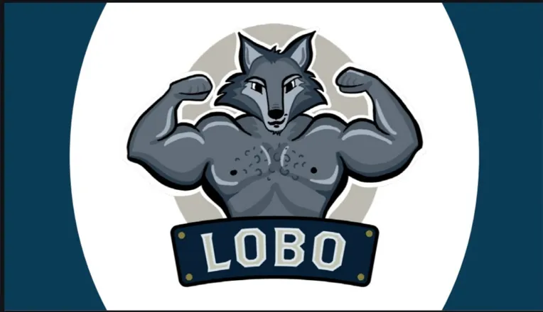 OnlyFans cuenta daddylobovanxxx header 2